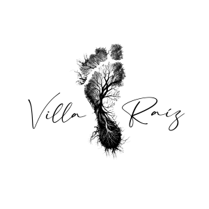 Villa Raíz_Logo-sin-fondo-26 Fundación Alborada